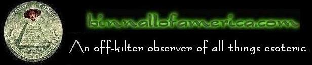 binnallofamerica.com